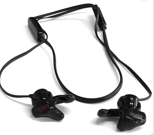 Custom Bluetooth Ears - JBL