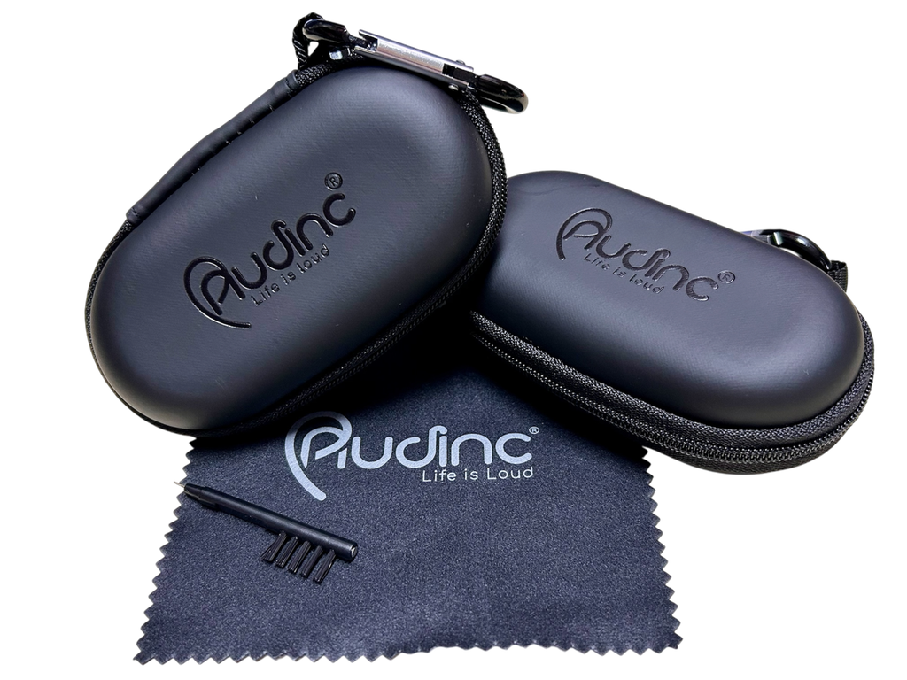 Audinc pouch big