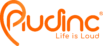 Audinc